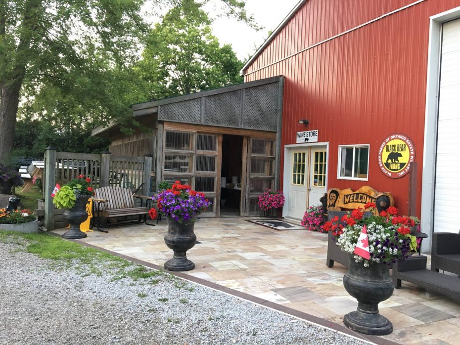 Black-Bear-Farms | Essex County Wineries & Breweries